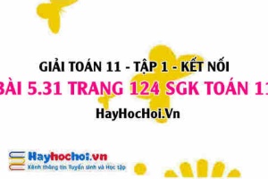 Giải bài 5.32 trang 124 Toán 11 tập 1 SGK Kết nối tri thức